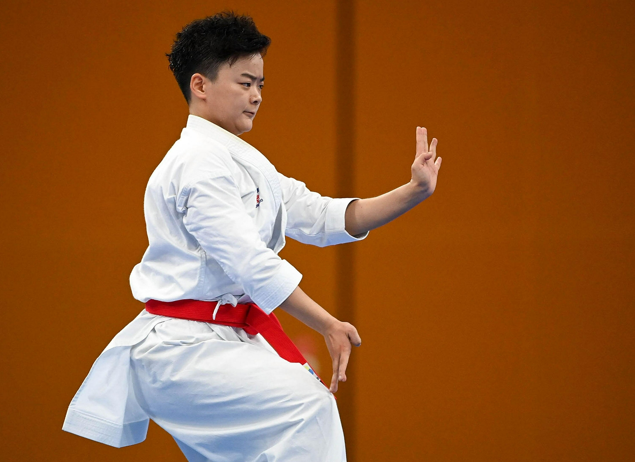 (全运会)(1)空手道——女子个人型决赛:汤冰夺冠