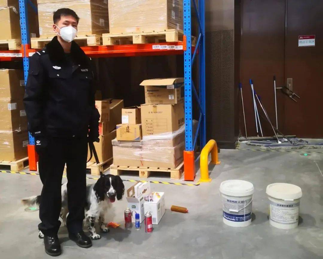 警犬“小七”的冬奥故事休闲区蓝鸢梦想 - Www.slyday.coM