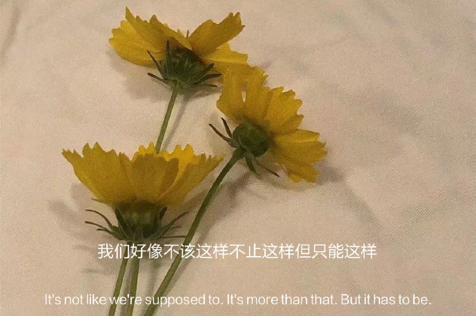 眼泪也没换来偏爱委屈也没换来例外一手好牌打的稀烂