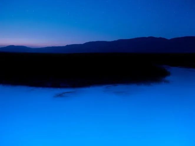 美得不像话，摄影师用紫外线摄影，让你看到一个神奇的世界休闲区蓝鸢梦想 - Www.slyday.coM