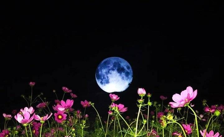 这个黄金周,泰安将惊现网红超级月亮!连续狂欢8天还免费送票