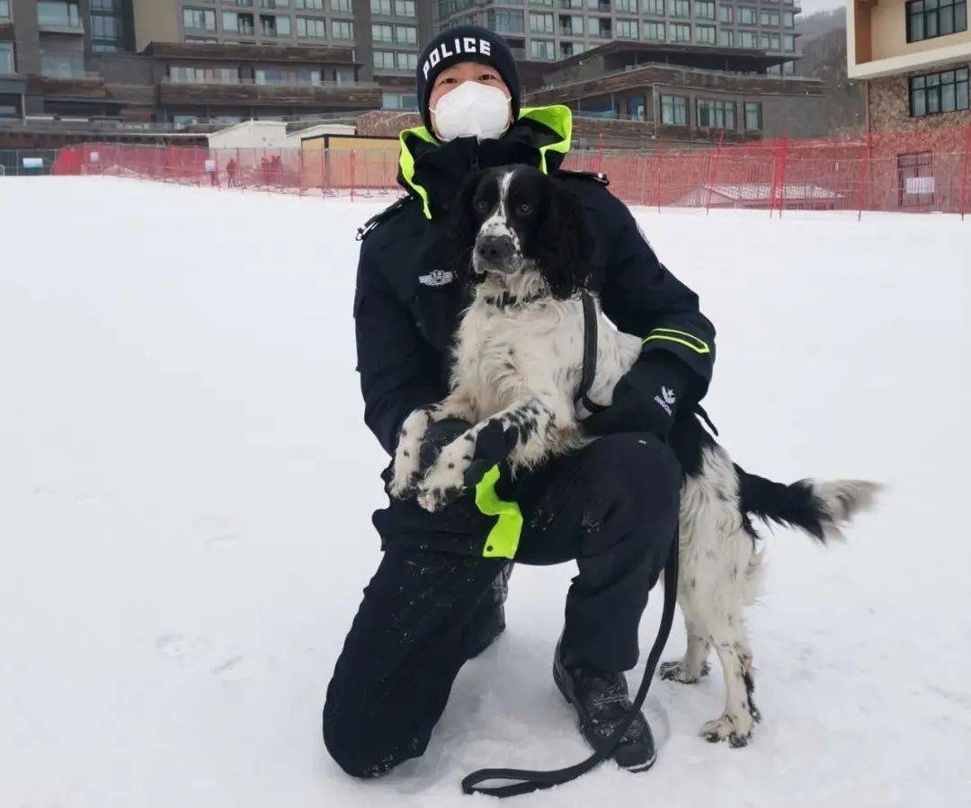 警犬“小七”的冬奥故事休闲区蓝鸢梦想 - Www.slyday.coM