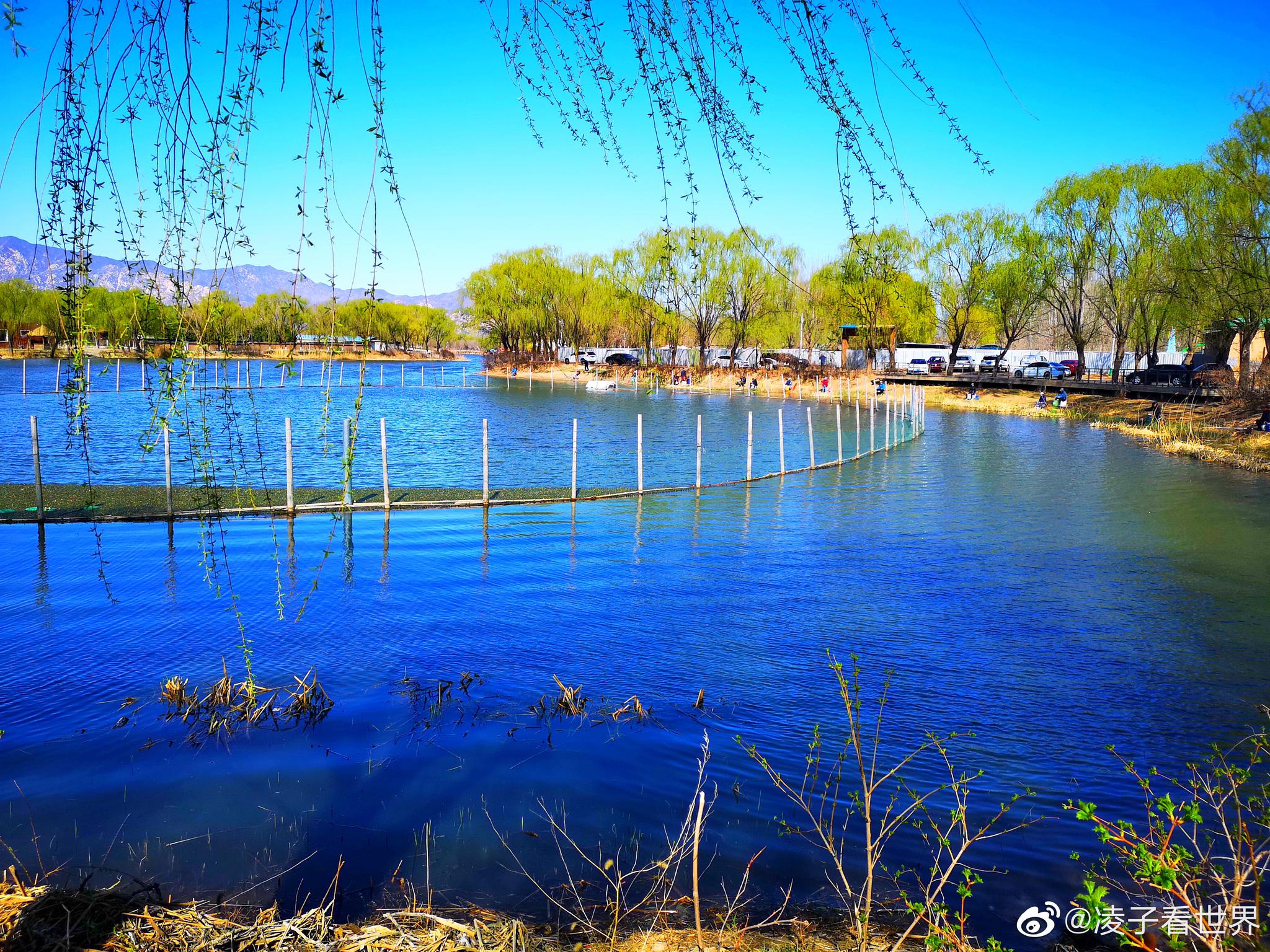 上庄水库边上遇到最美的春天杨柳依依河水清清豆芽部落