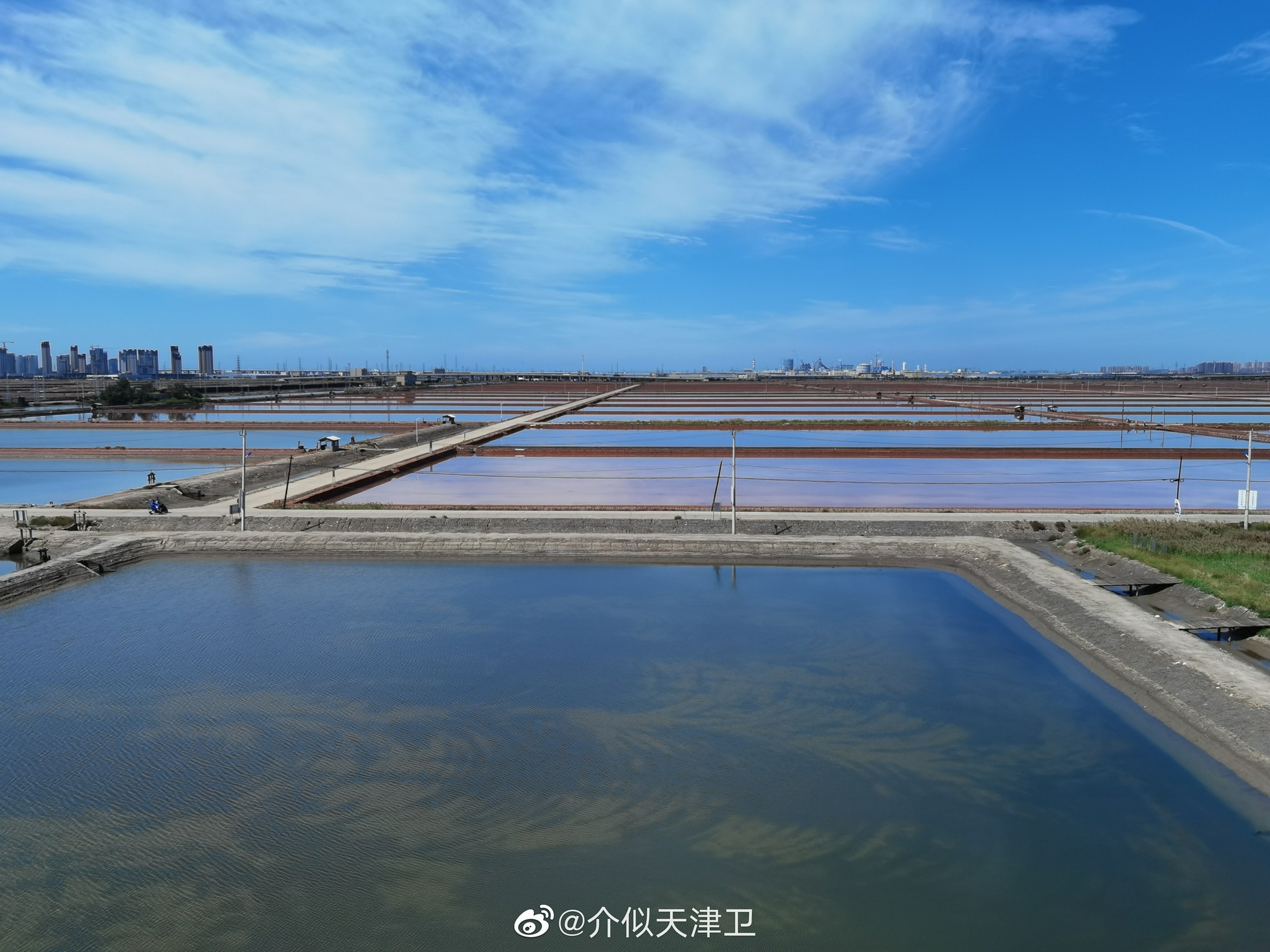 天津长芦塘沽盐场图片