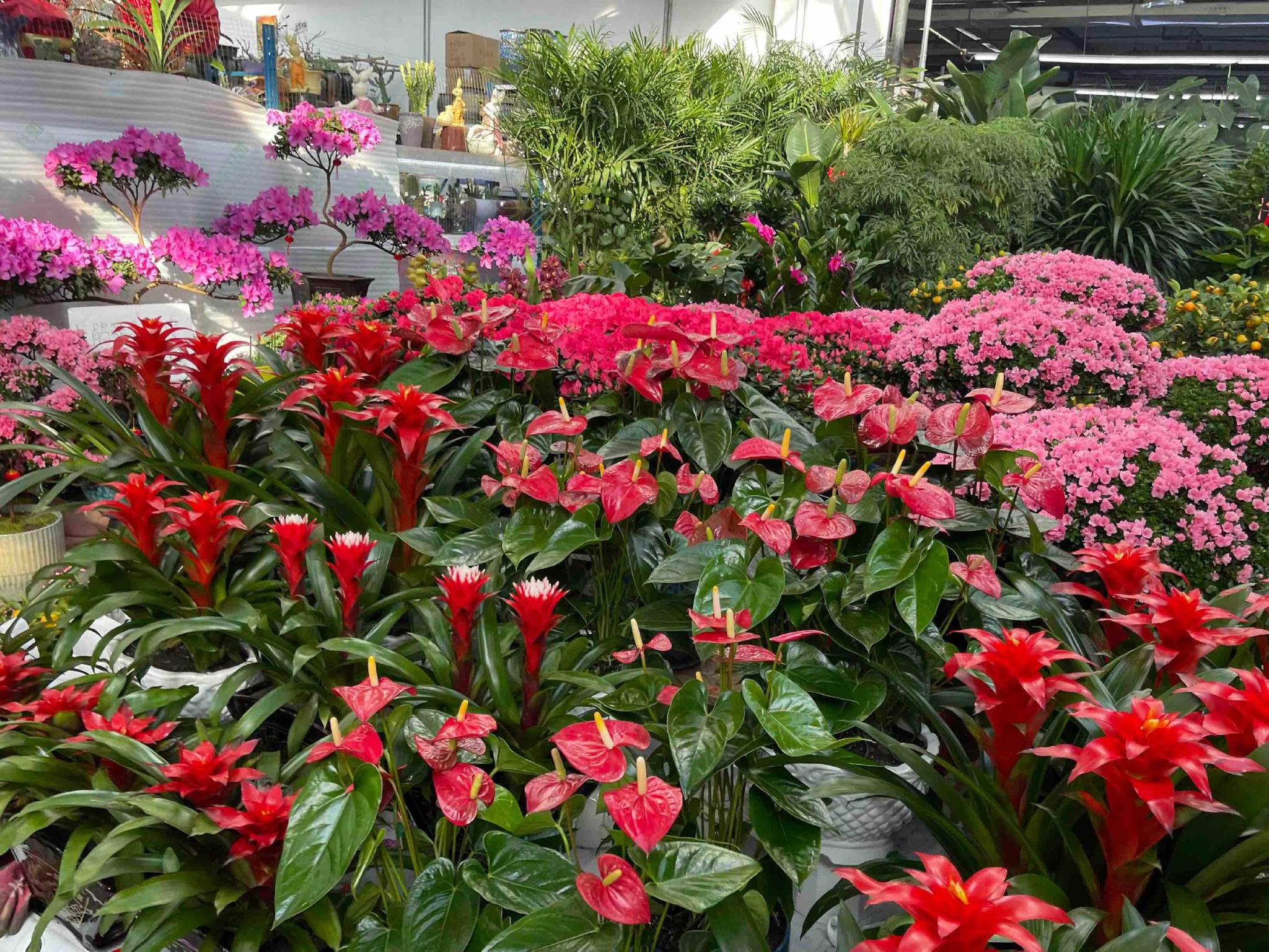 春节期间花卉大市场营业时间有调整