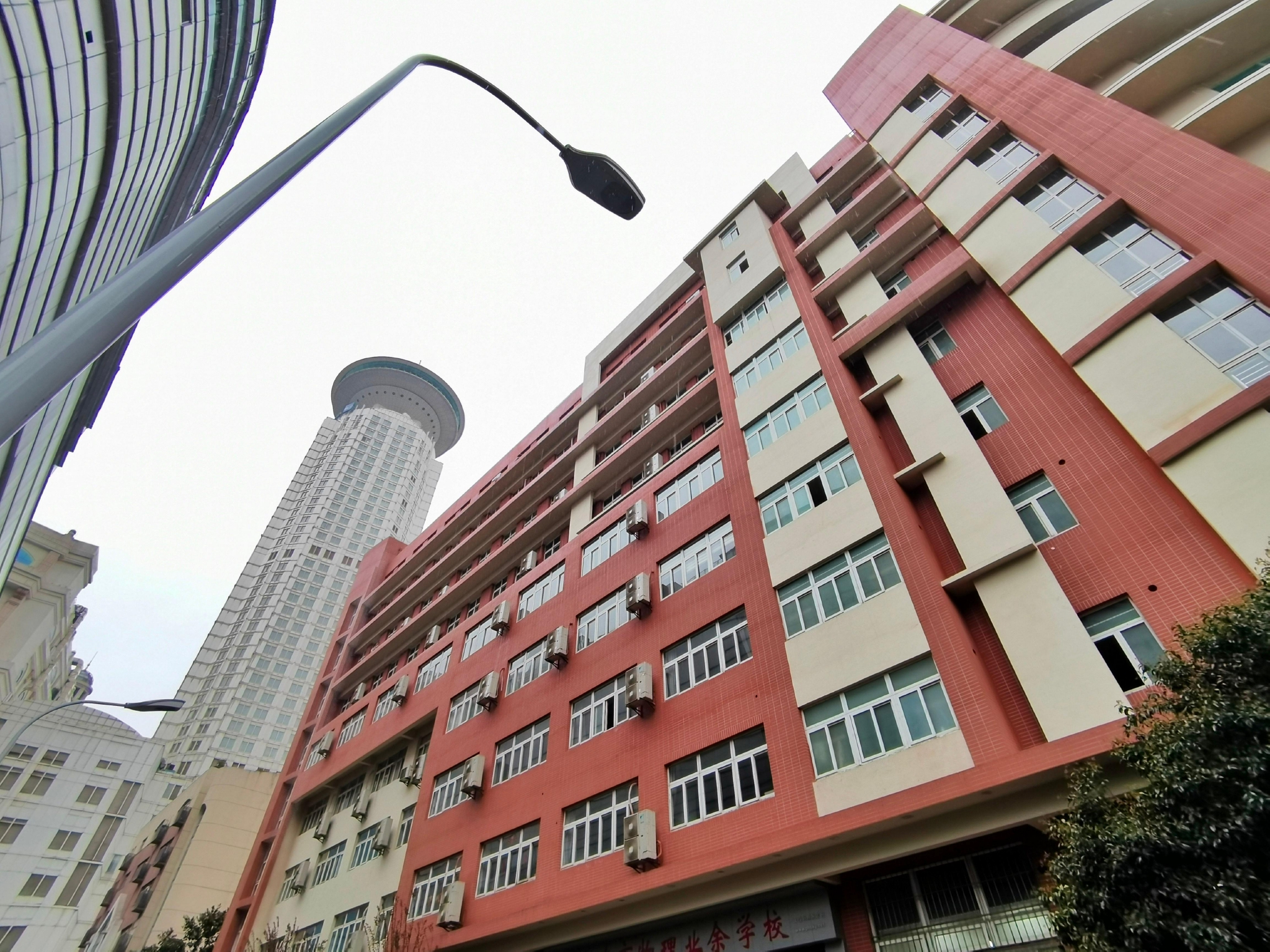 云游校园丨雨打樱花春语校园上海市格致初级中学