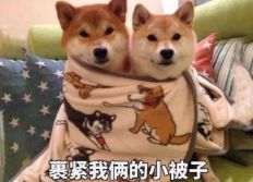 今年首个暴雪预警拉响！问世间“晴”为何物，上海的雪安排上了？休闲区蓝鸢梦想 - Www.slyday.coM