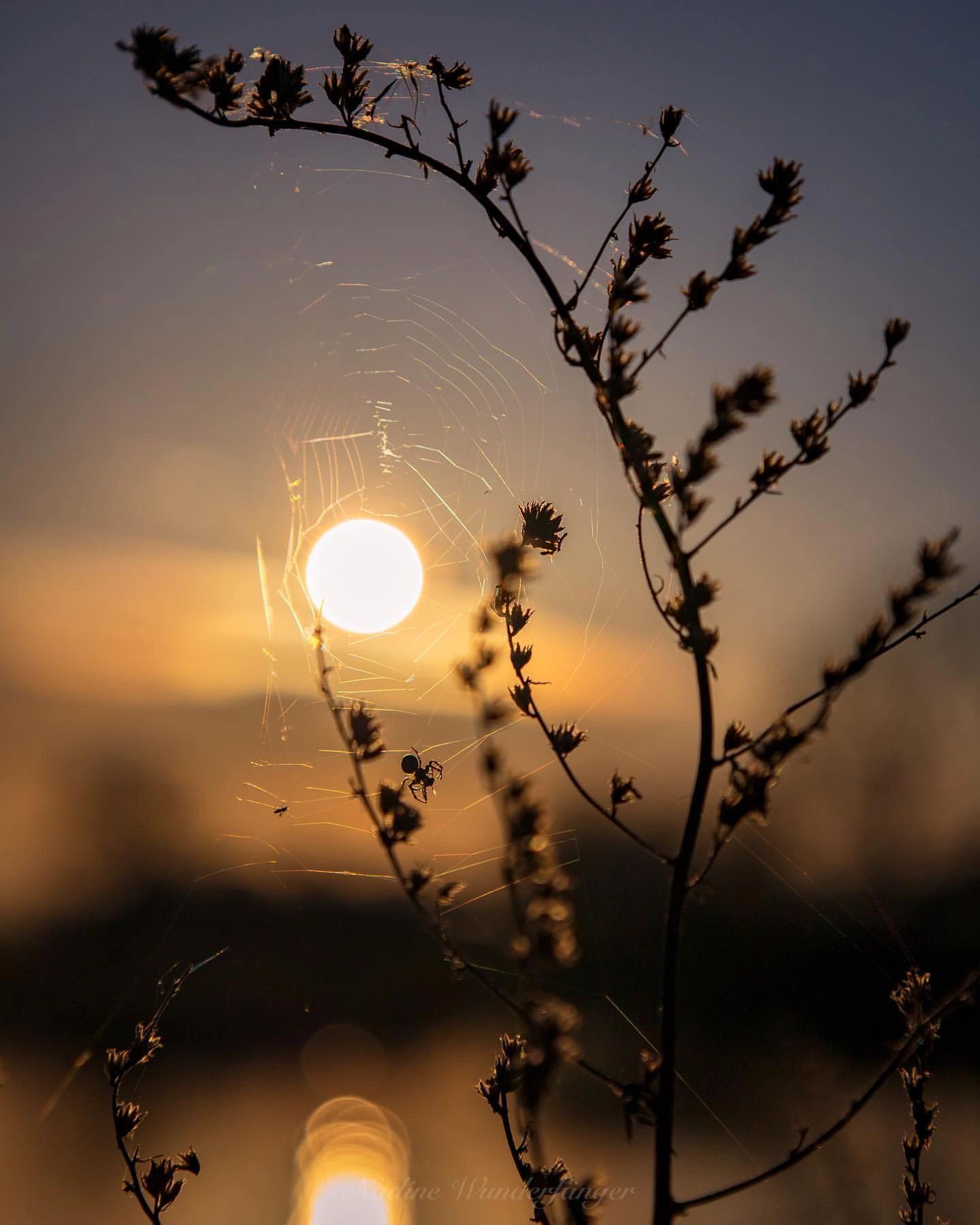晚安🌛 人生百般滋味,生活需要笑对__财经头条