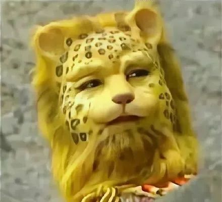 其自称南山大王这只豹子精出现在《西游记》的续集中意外走红西游记中