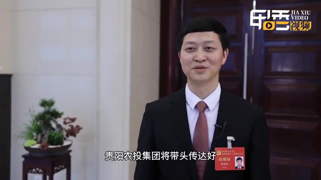 省党代表说陈祖发奋力在建设现代山地特色高效农业强