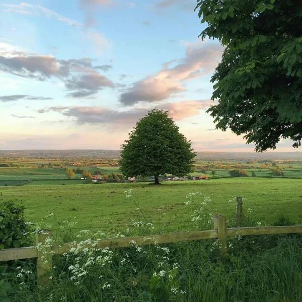 哲思｜让人生变好的四种心态休闲区蓝鸢梦想 - Www.slyday.coM