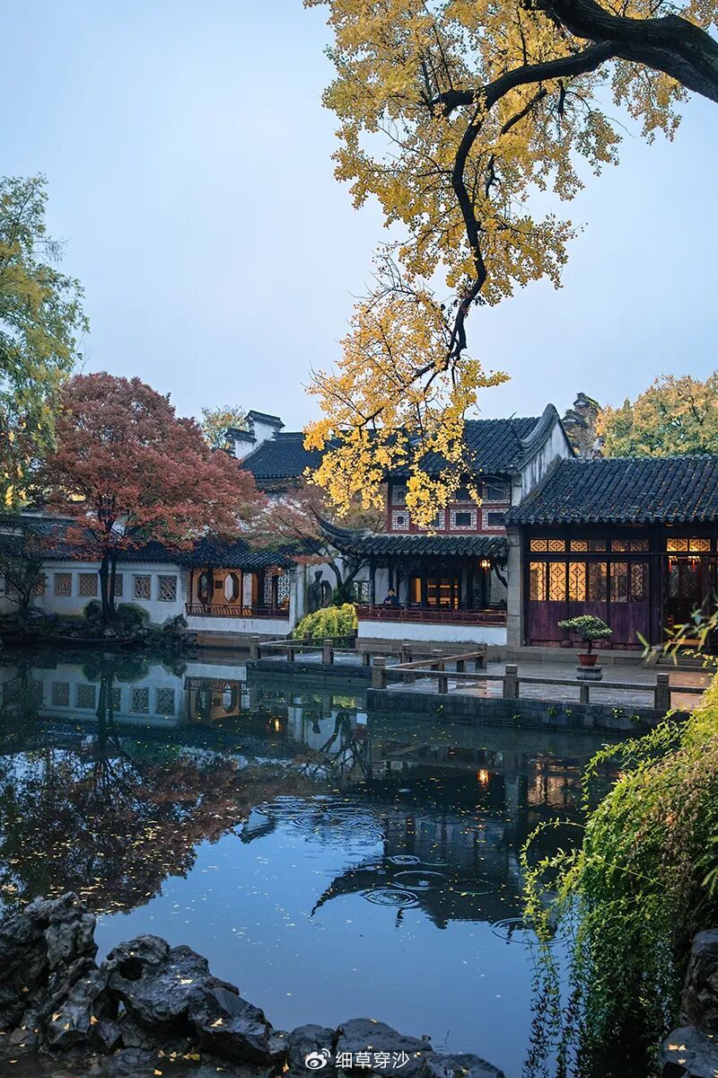 这是苏州最精致的一座园林|园林|留园|苏州园林