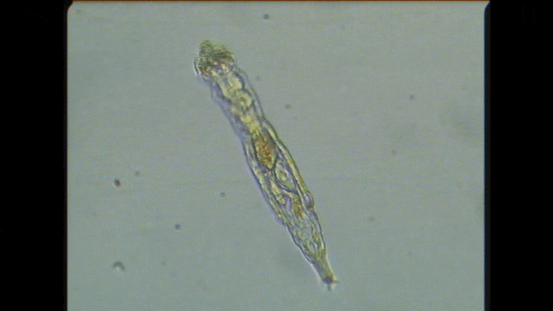 中国真的更热了!人类改变地球气候时间不多了,最担心的或将发生休闲区蓝鸢梦想 - Www.slyday.coM 中国真的更热了!人类改变地球气候时间不多了,最担心的或将发生休闲区蓝鸢梦想 - Www.slyday.coM