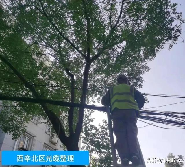 【创城有我】空中环境也要提升！旺泉街道为老旧小区捋齐“空中飞线”！休闲区蓝鸢梦想 - Www.slyday.coM