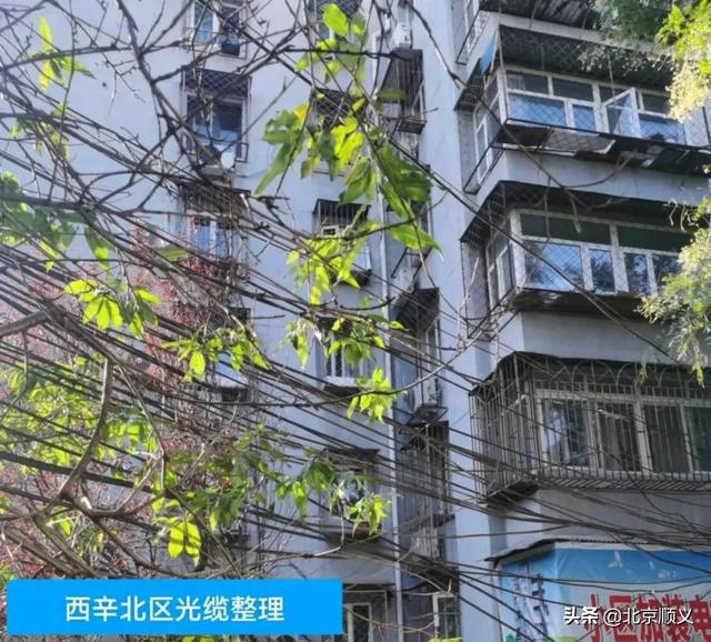 【创城有我】空中环境也要提升！旺泉街道为老旧小区捋齐“空中飞线”！休闲区蓝鸢梦想 - Www.slyday.coM