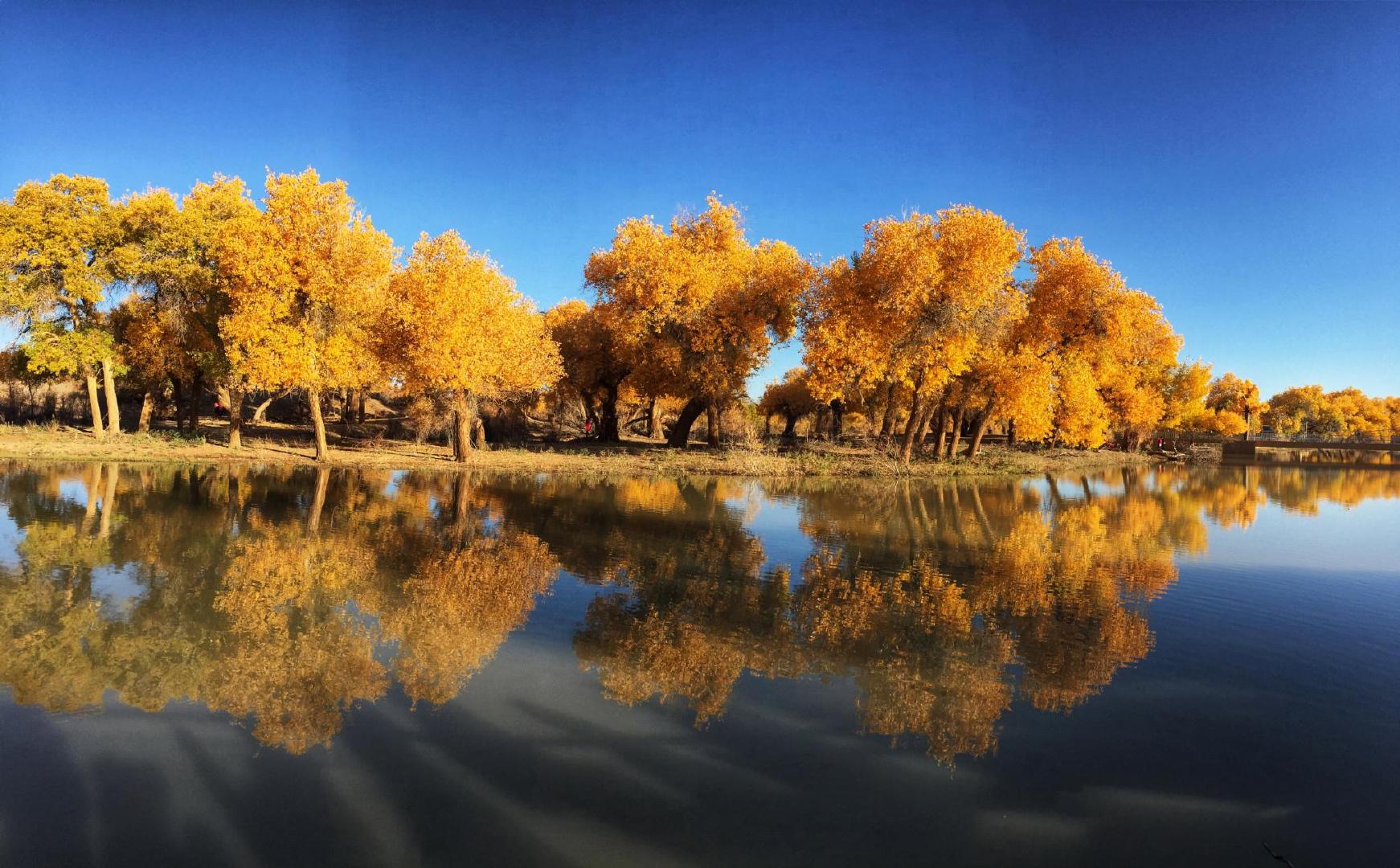 额济纳向滞留旅客表达歉意,提供免费午餐和门票,网友:诚意不足休闲区蓝鸢梦想 - Www.slyday.coM 额济纳向滞留旅客表达歉意,提供免费午餐和门票,网友:诚意不足休闲区蓝鸢梦想 - Www.slyday.coM