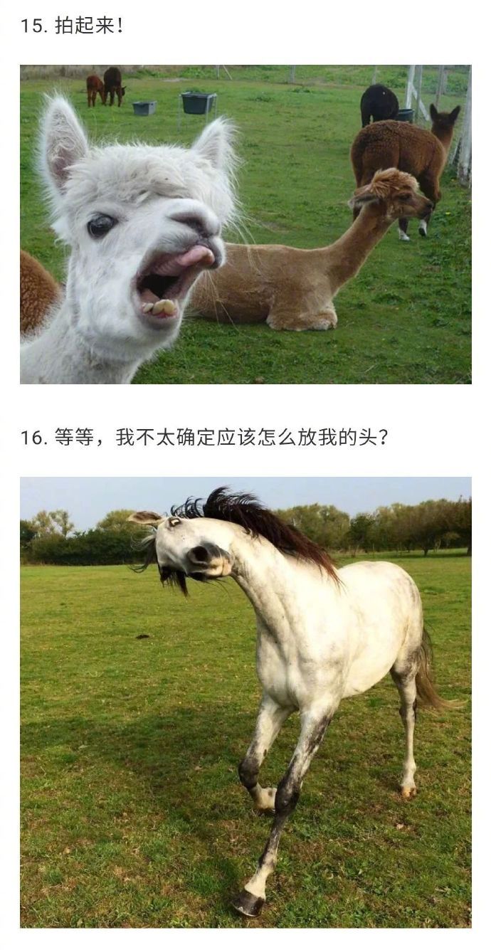 尴尬又好笑经历分享 生活中那些社死瞬间