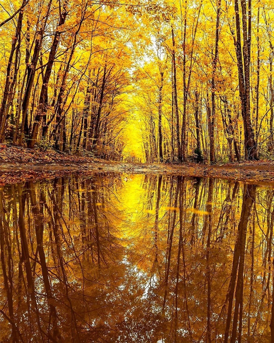 秋影如诗秋色如画秋意正浓