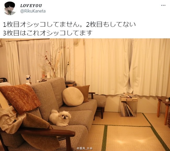 趣闻 第一张没有在沙发上嘘嘘 第二张也没有在沙发上嘘嘘 趣闻 第一张没有在沙发上嘘嘘 第二张也没有在沙发上嘘嘘