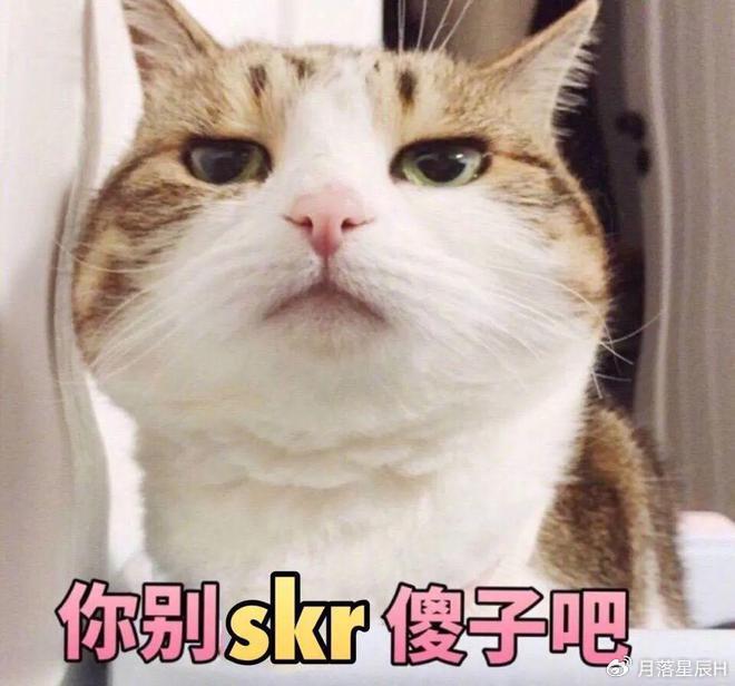 养了7年的猫，因傻得出奇爆红，医生诊断：是个智障！|智障|猫咪|猫