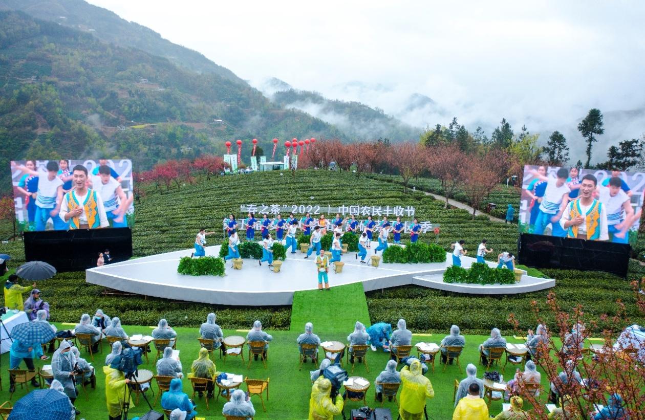 紫阳县25万亩富硒茶盛大开园共赴春茶之约