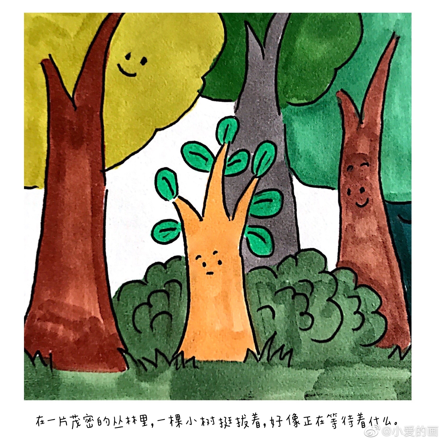 绘本故事《小树的心思》