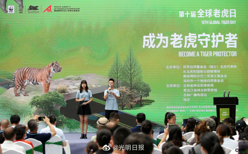 看看我国野生虎生存状况如何