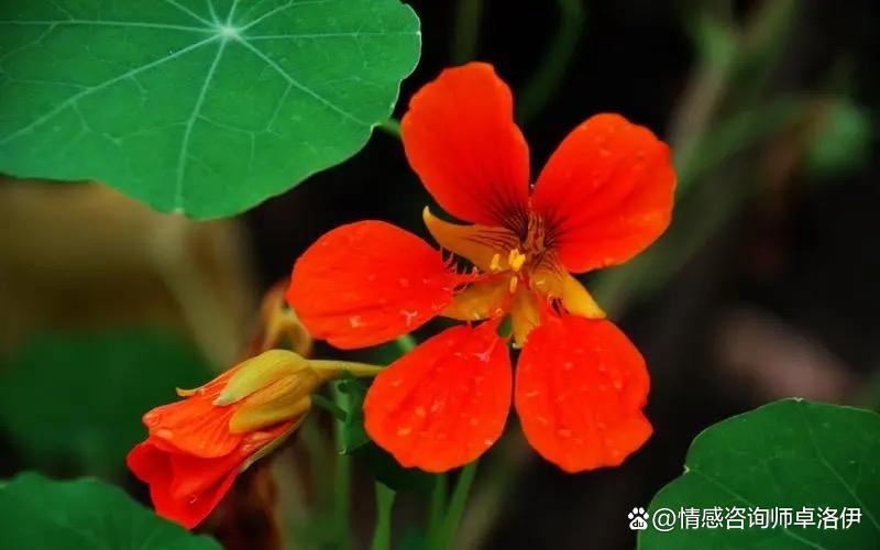 夫妻收入差距,你觉得会影响幸福指数吗?休闲区蓝鸢梦想 - Www.slyday.coM 夫妻收入差距,你觉得会影响幸福指数吗?休闲区蓝鸢梦想 - Www.slyday.coM