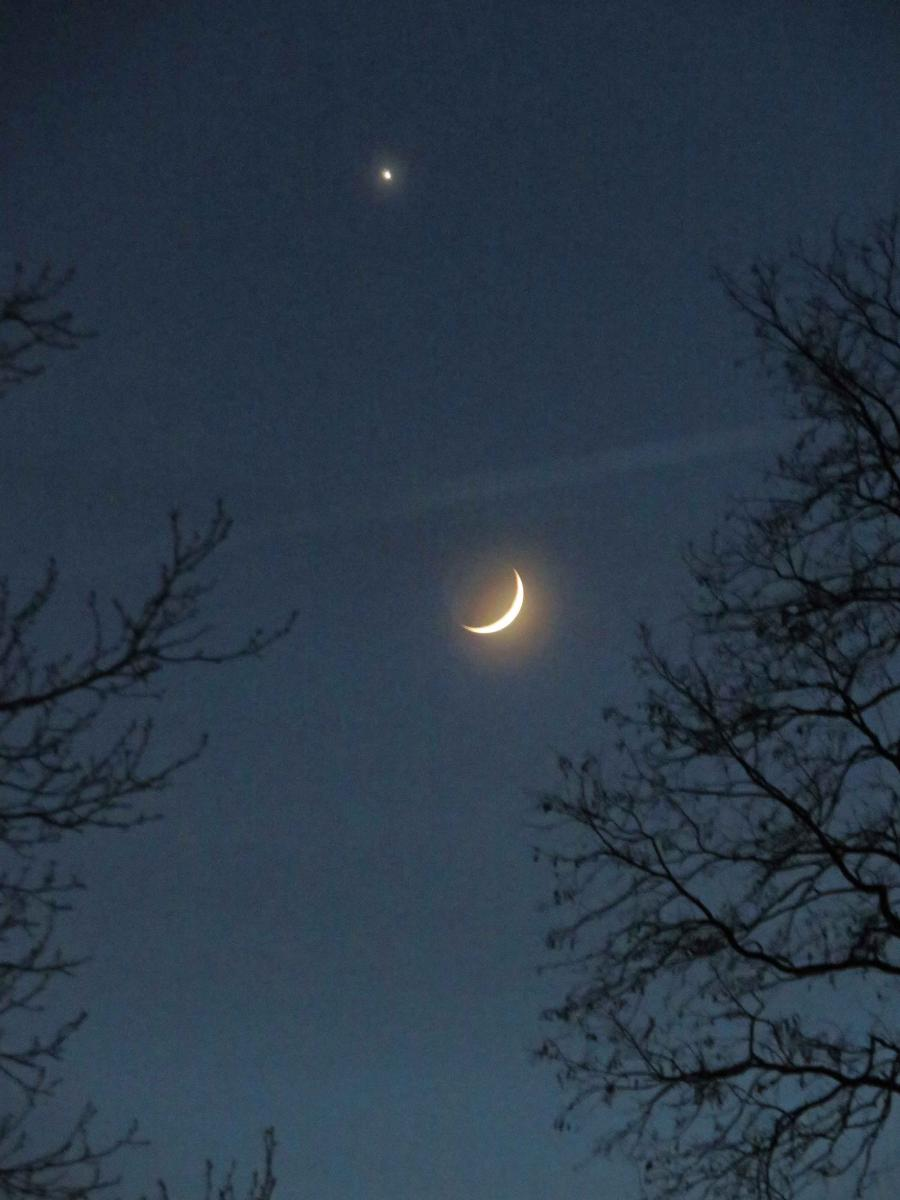 请定好您的闹钟,周末的傍晚,西方夜空可赏"金星伴月"天文景观