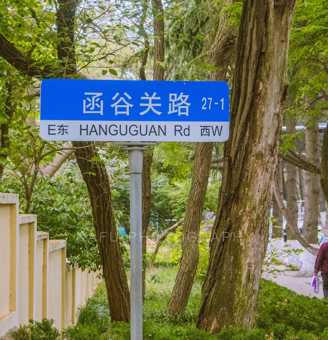 初夏微雨散步八大关刚刚好