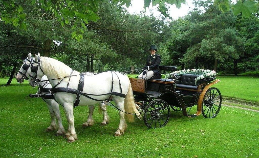 没错,马力就是一匹马的力量,但是因为马的种类不同,有小矮马,还有汗血