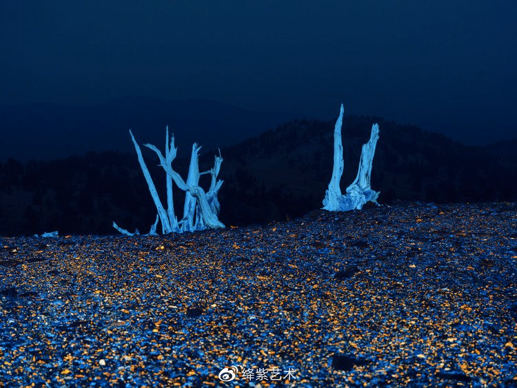 美得不像话，摄影师用紫外线摄影，让你看到一个神奇的世界休闲区蓝鸢梦想 - Www.slyday.coM