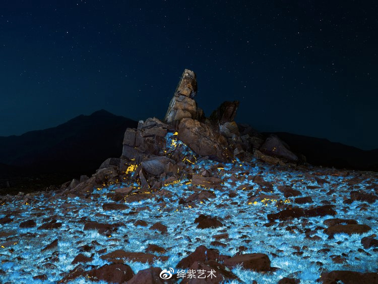 美得不像话，摄影师用紫外线摄影，让你看到一个神奇的世界休闲区蓝鸢梦想 - Www.slyday.coM