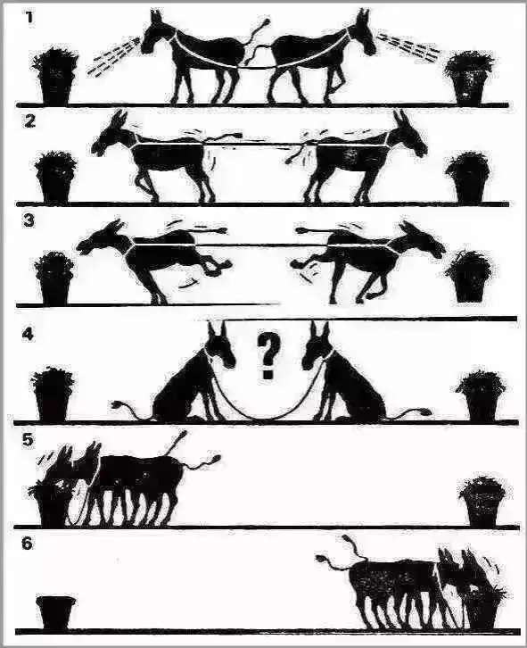 拆台与补台(深度好文)