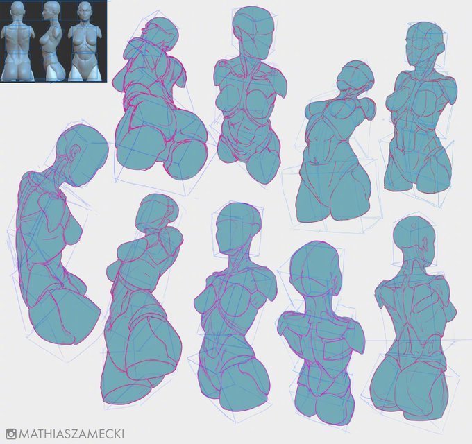 mathiaszamecki人体透视 动态参考 !自己拿去练习吧,转需