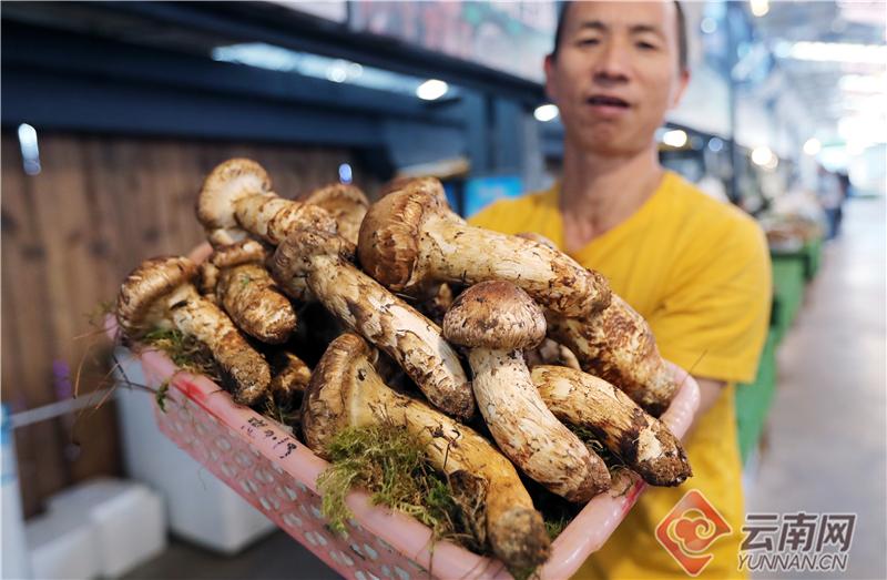 中秋市场云南山珍备受青睐