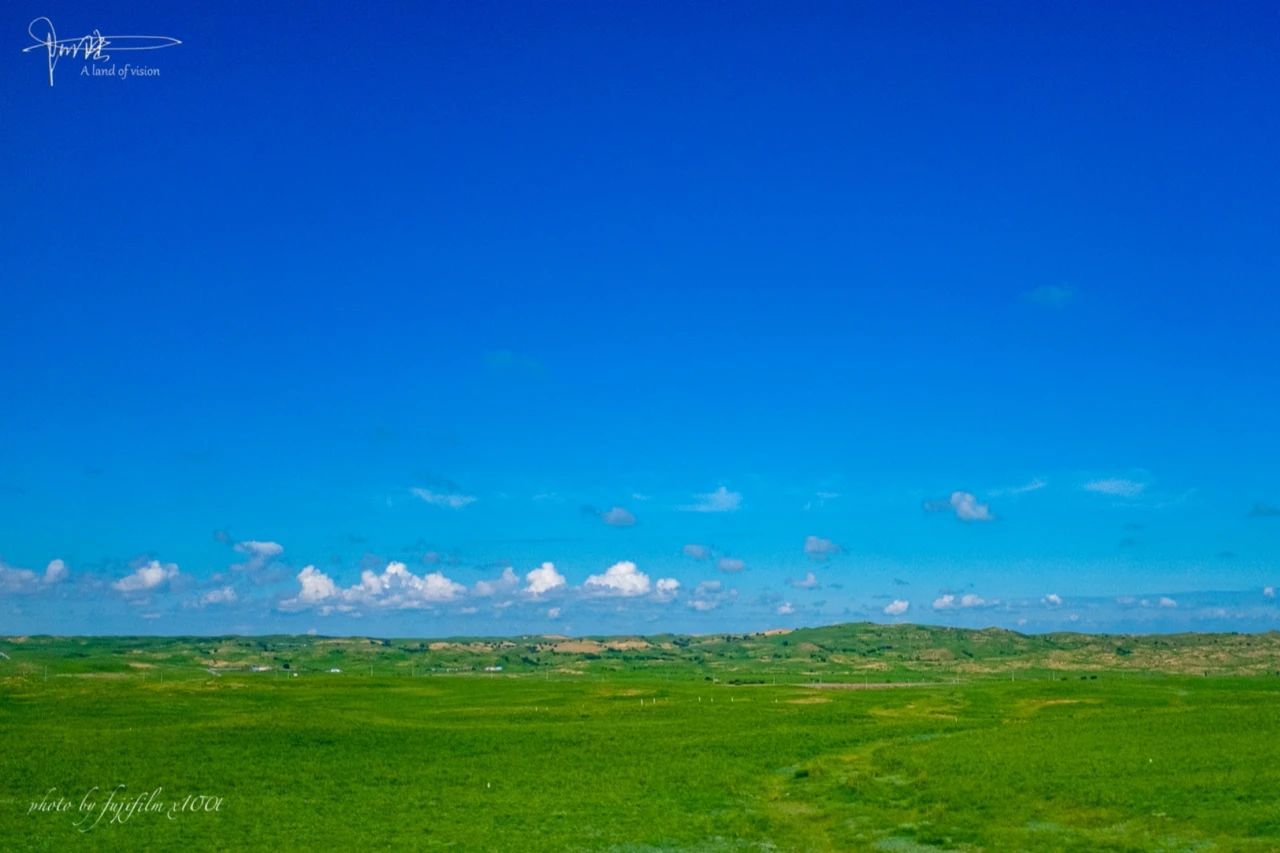 蓝天白云下,路边的内蒙古风光,也是如此葱笼