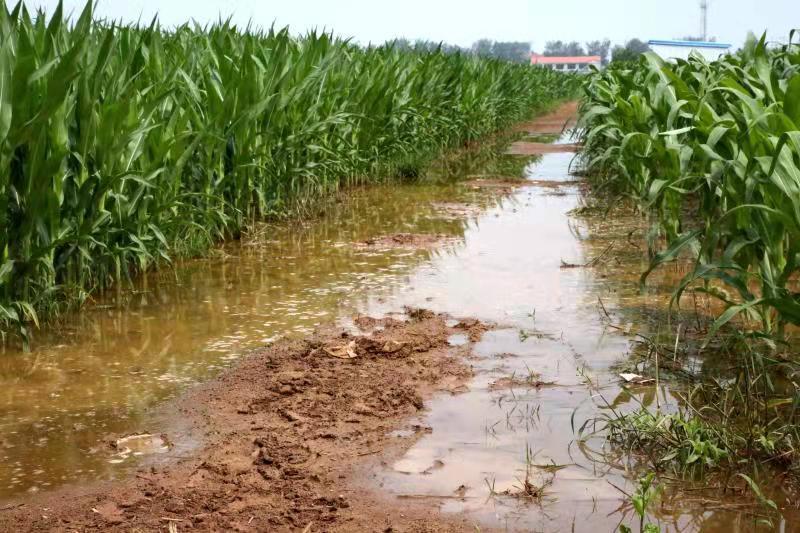 专家提醒做好这两点!