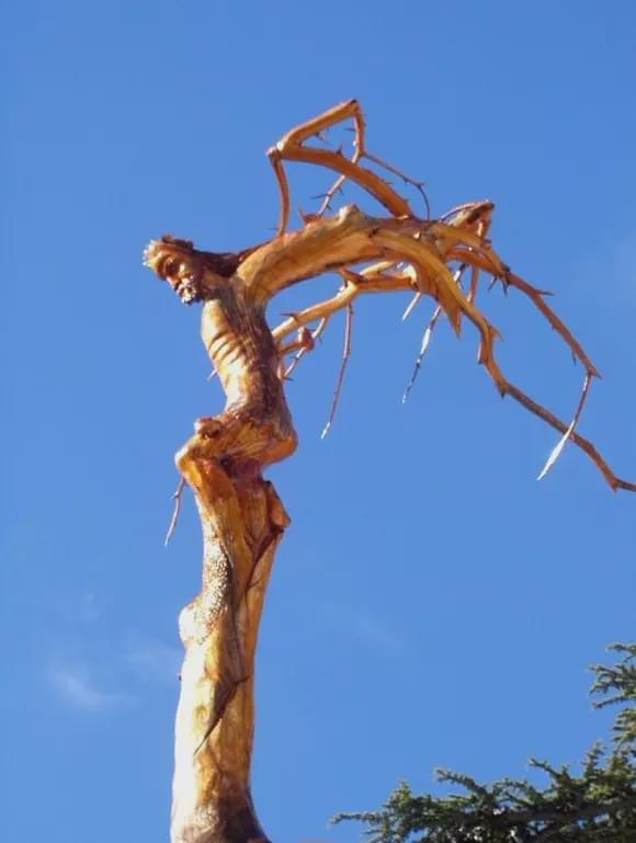 神奇的树雕艺术,大开眼界!