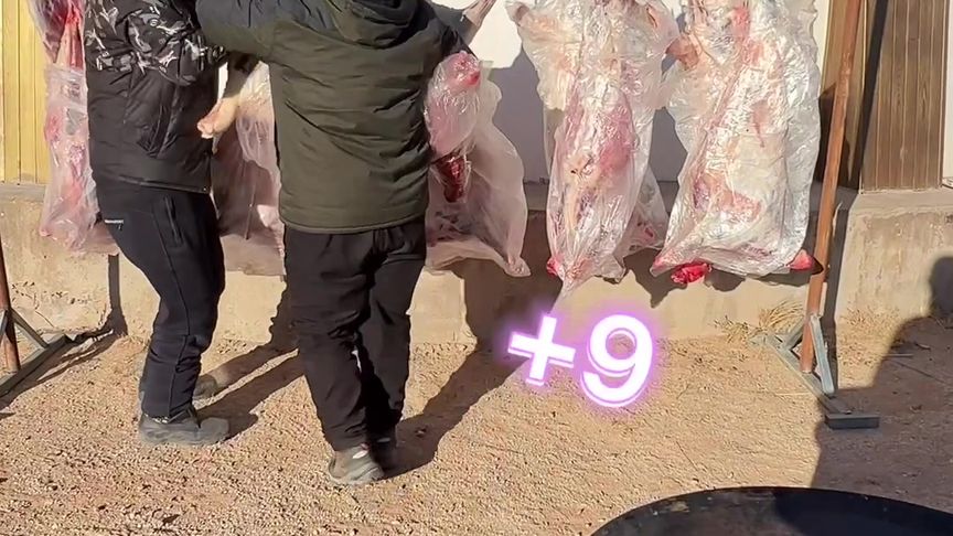 十个羊轱辘内蒙古人备年货如此豪横年货跟我dou回家过年就要畅快吃