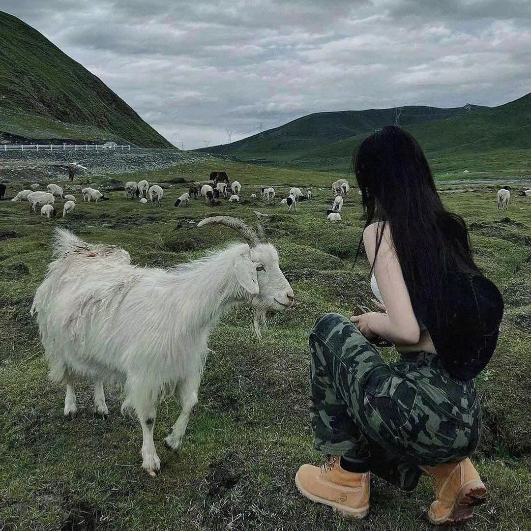 他们上了头条，然后呢？...