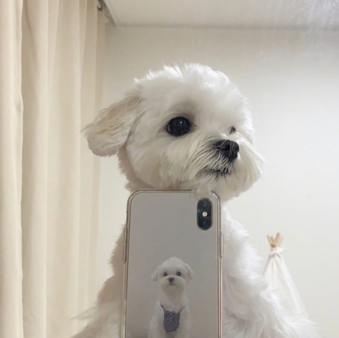 今日份的对镜自拍