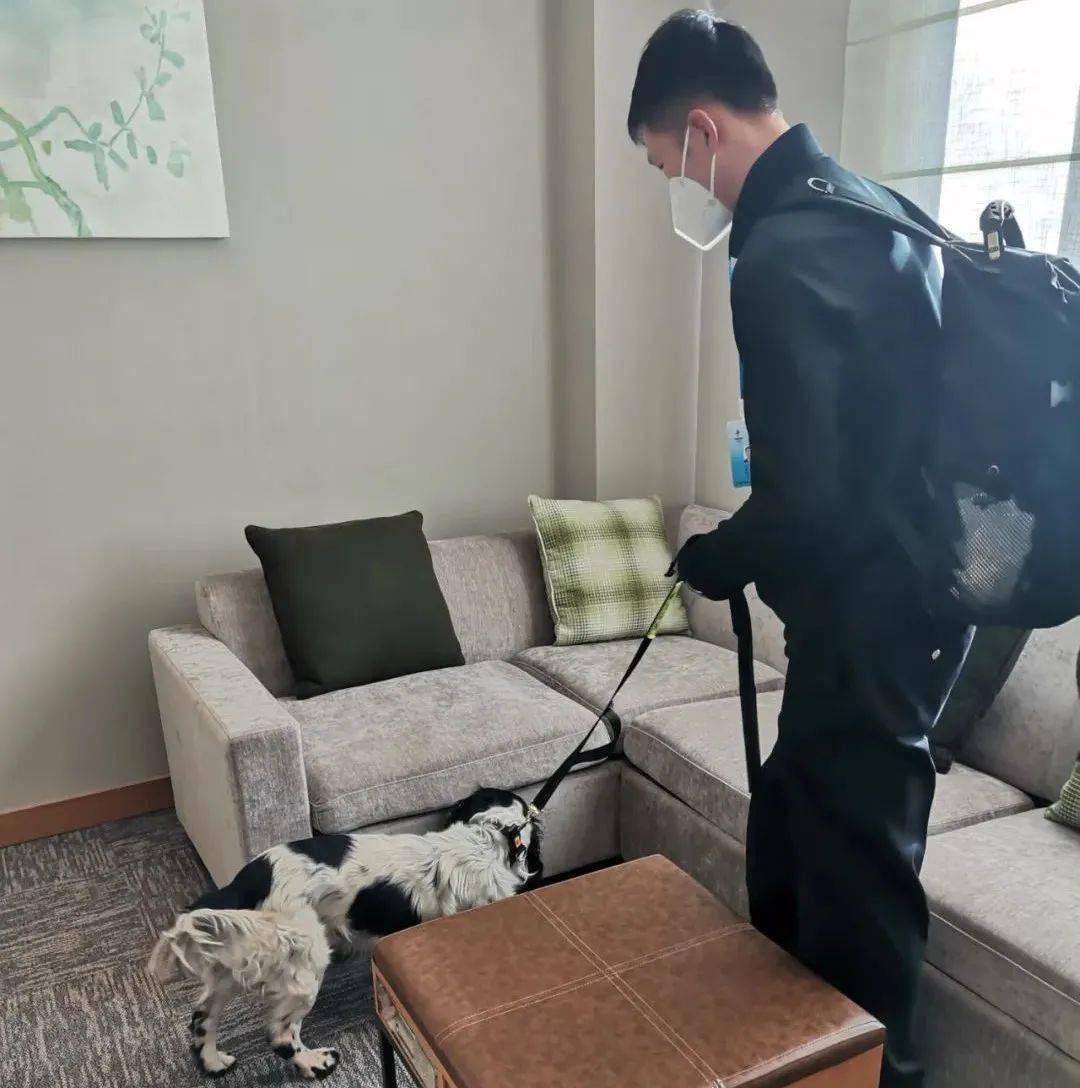 警犬“小七”的冬奥故事休闲区蓝鸢梦想 - Www.slyday.coM