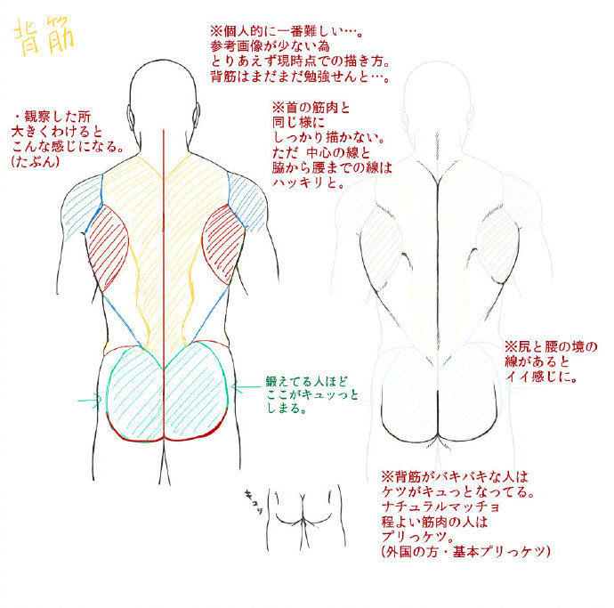 画不好心目中的美好男性身材 拿去练习吧 转需 画不好心目中的美好男性身材 拿去练习吧 转需