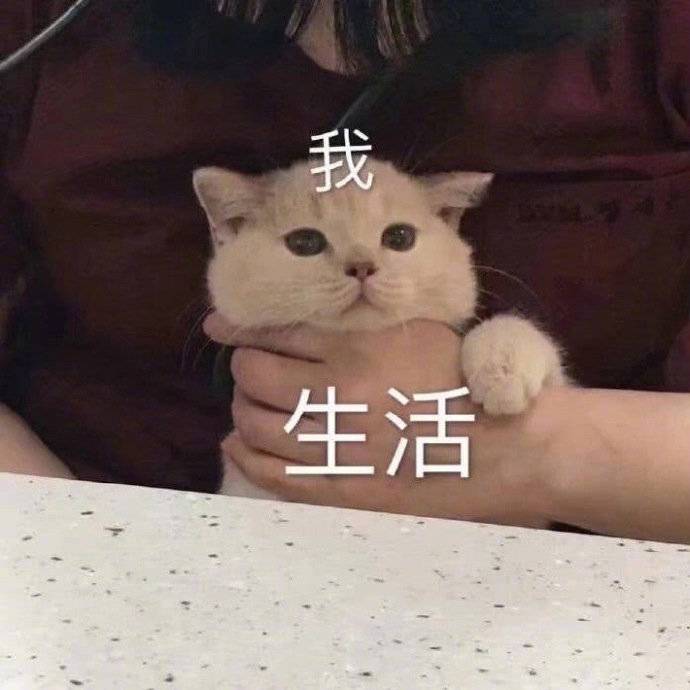 表情包累到昏阙