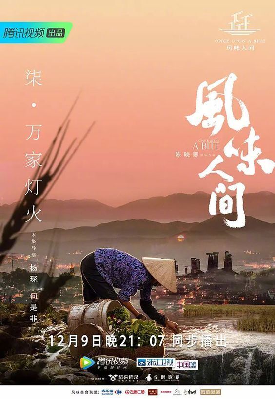 纪录片海报创意