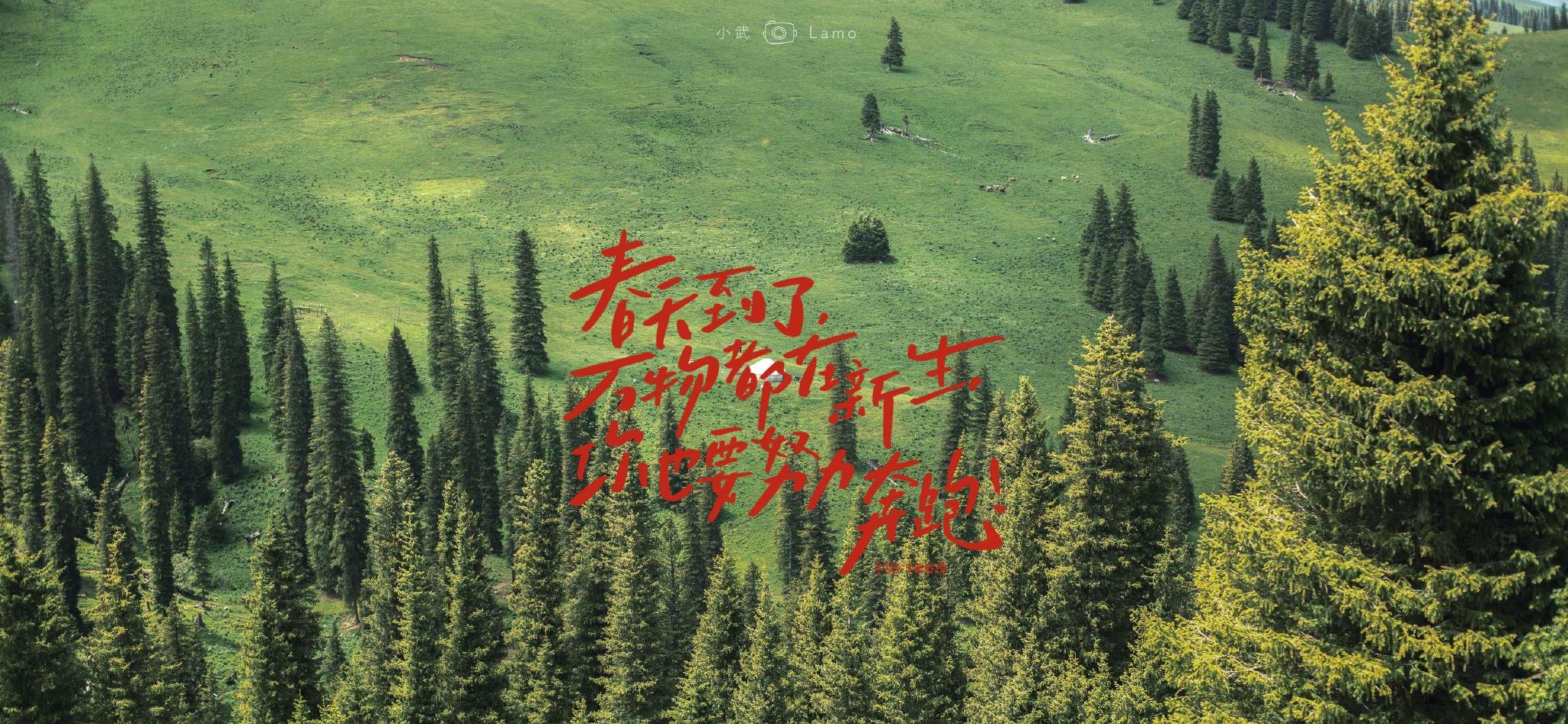 文艺浪漫的手写ipad电脑文字壁纸