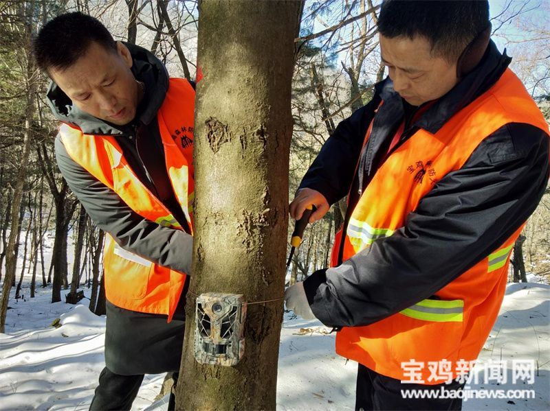 【我们的十年】宝鸡护林员夫妻:守护青山 向绿而行休闲区蓝鸢梦想 - Www.slyday.coM 【我们的十年】宝鸡护林员夫妻:守护青山 向绿而行休闲区蓝鸢梦想 - Www.slyday.coM