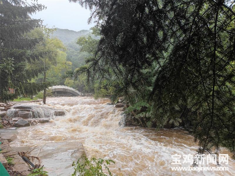 【我们的十年】宝鸡护林员夫妻:守护青山 向绿而行休闲区蓝鸢梦想 - Www.slyday.coM 【我们的十年】宝鸡护林员夫妻:守护青山 向绿而行休闲区蓝鸢梦想 - Www.slyday.coM
