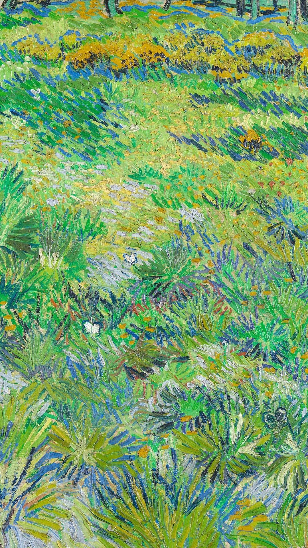 梵高油画系列壁纸__财经头条